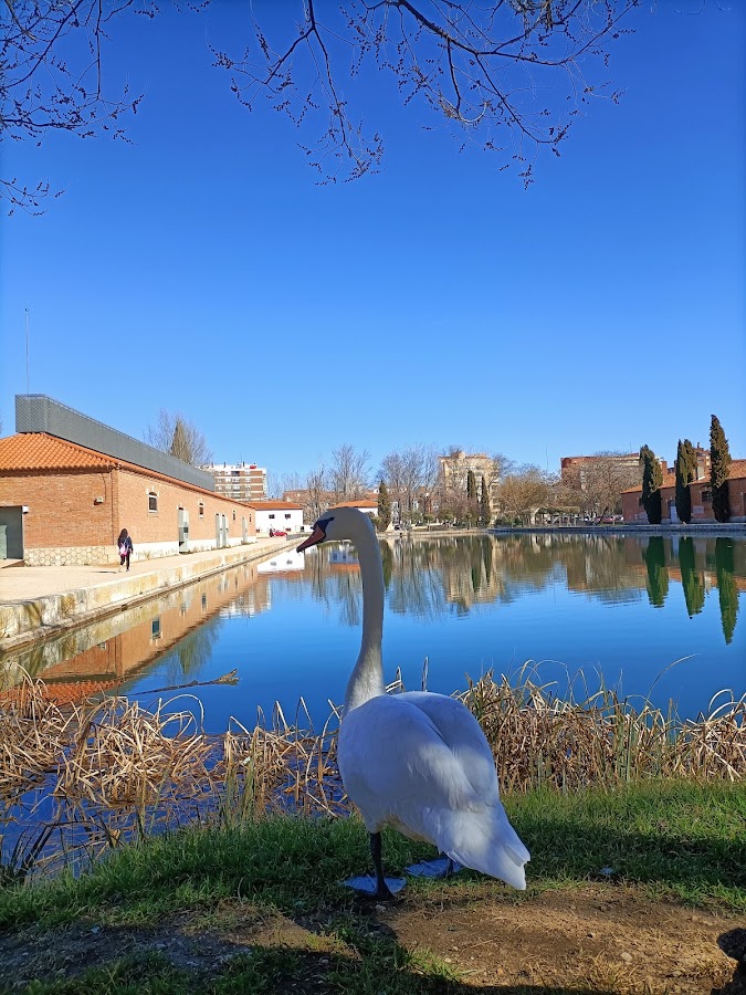 Dársena Del Canal De Castilla