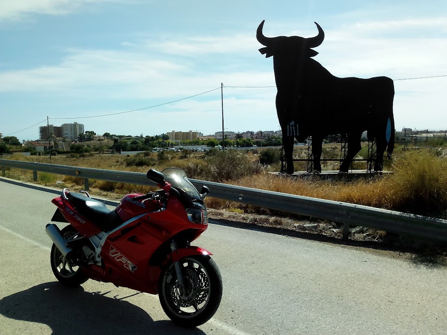 El Toro de El Campello