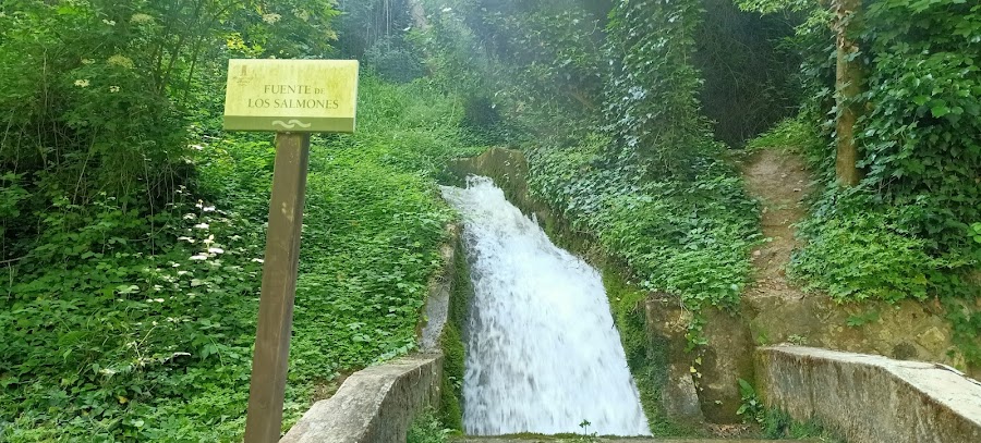 Fuente De Los Salmones