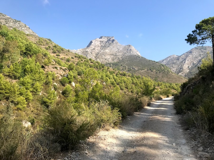 Fuente Del Esparto