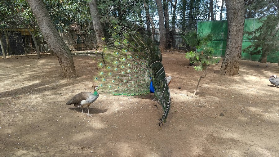 Zoo de Guadalajara