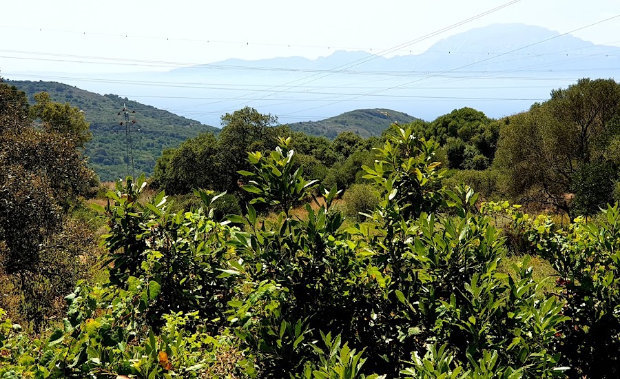 Huerta Grande, Centro De Visitantes