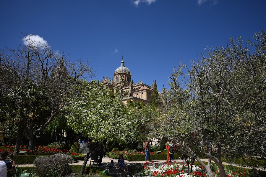 Huerto De Calixto Y Melibea