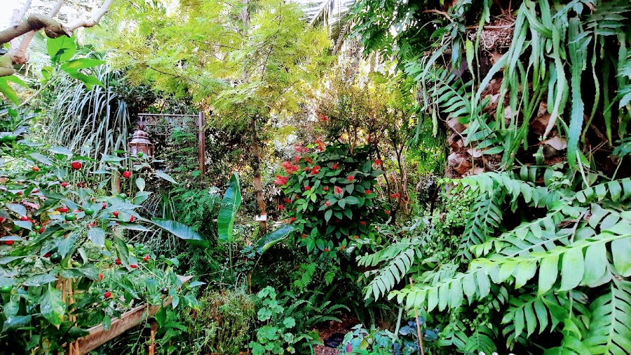 Jardín Botánico La Almunya Del Sur