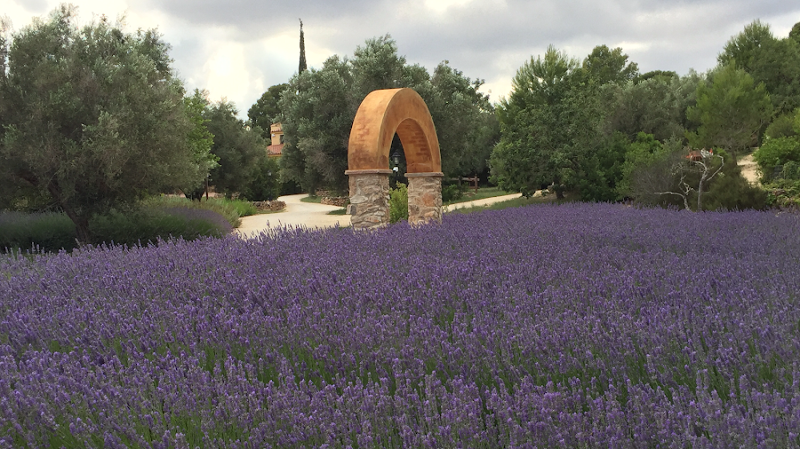 Jardín Botánico Medicinal - Ecoherbes Park