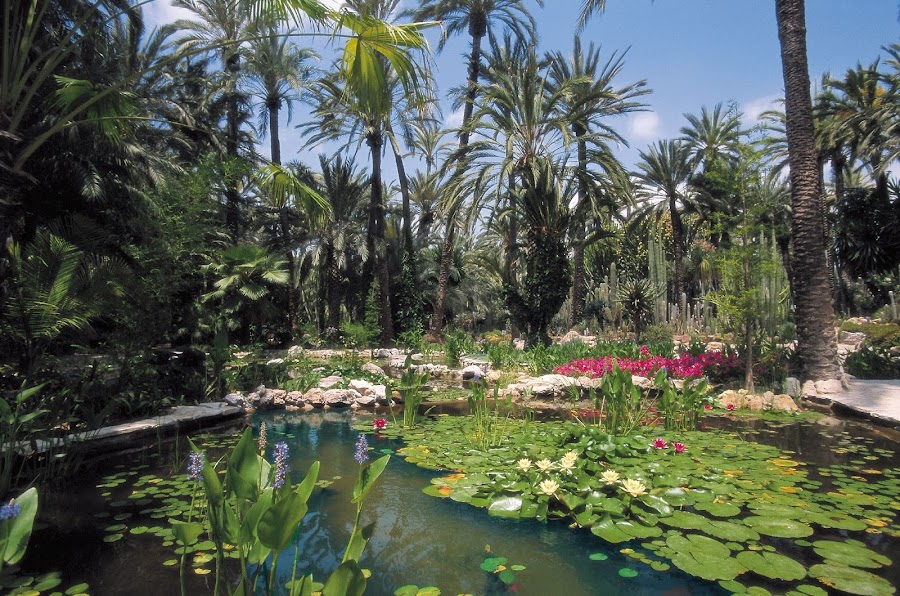 Jardín Huerto Del Cura