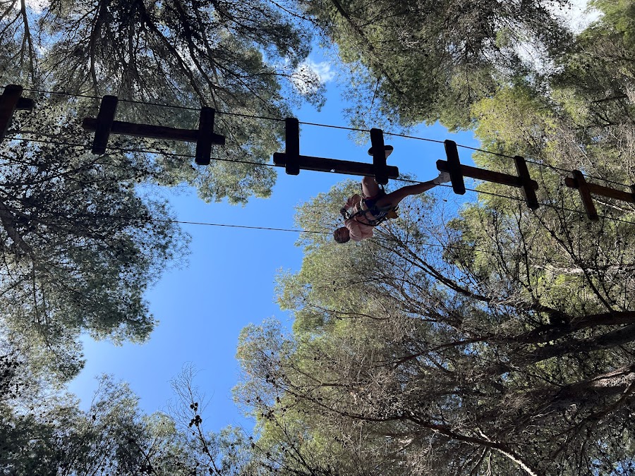 Jungle Parc Mallorca Parque Forestal De Aventuras Y Tirolinas