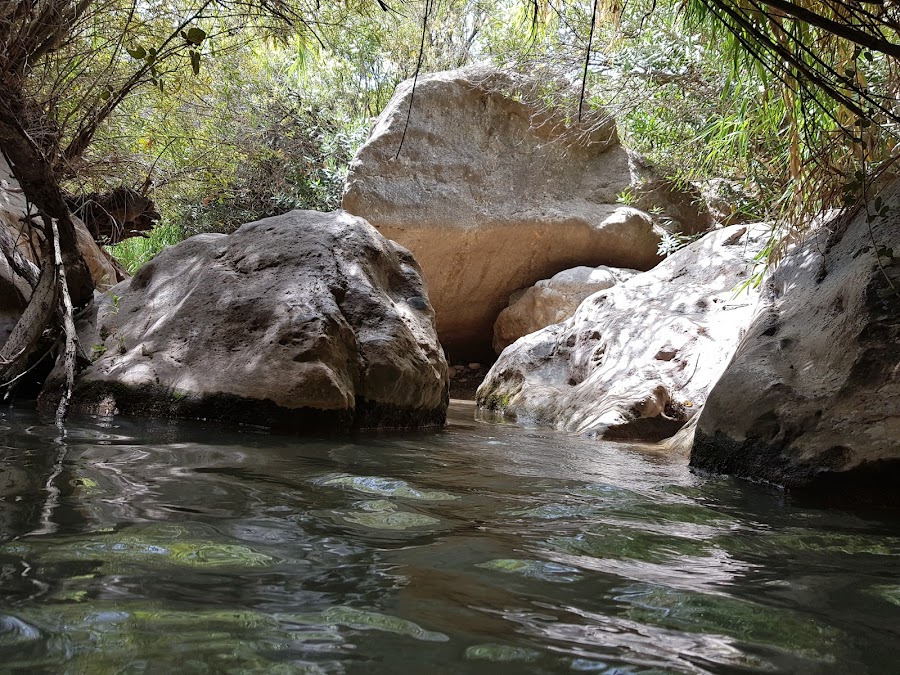 Las Canales (Padules)