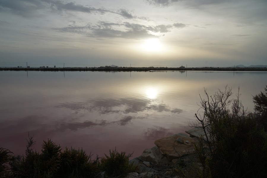 Las Salinas