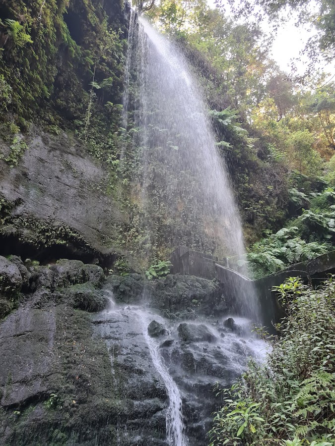 Los Tilos Centro De Visitantes