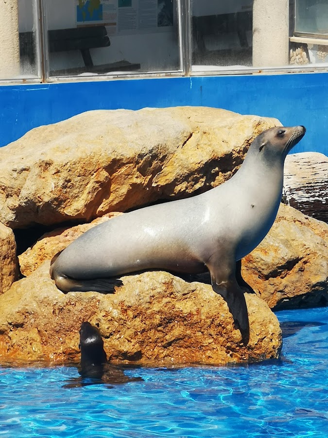 Marineland Mallorca