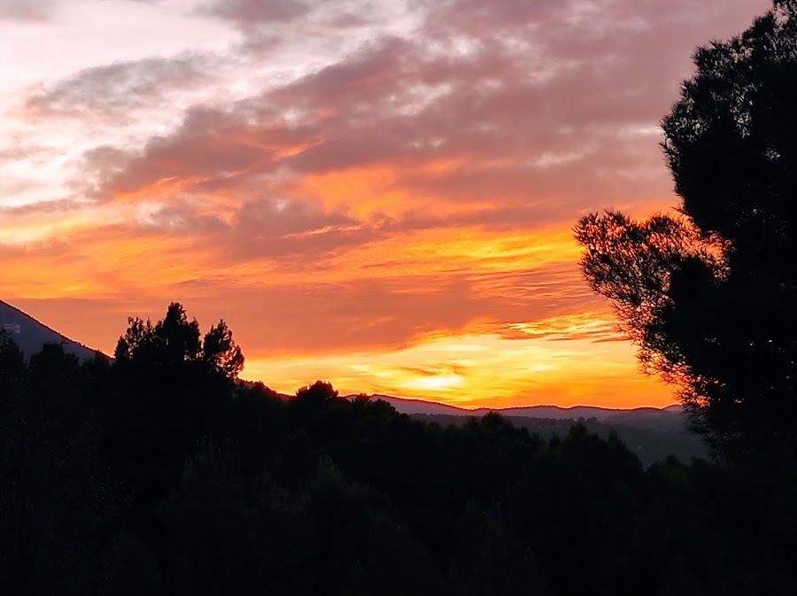 Mas De La Font De L Olivereta