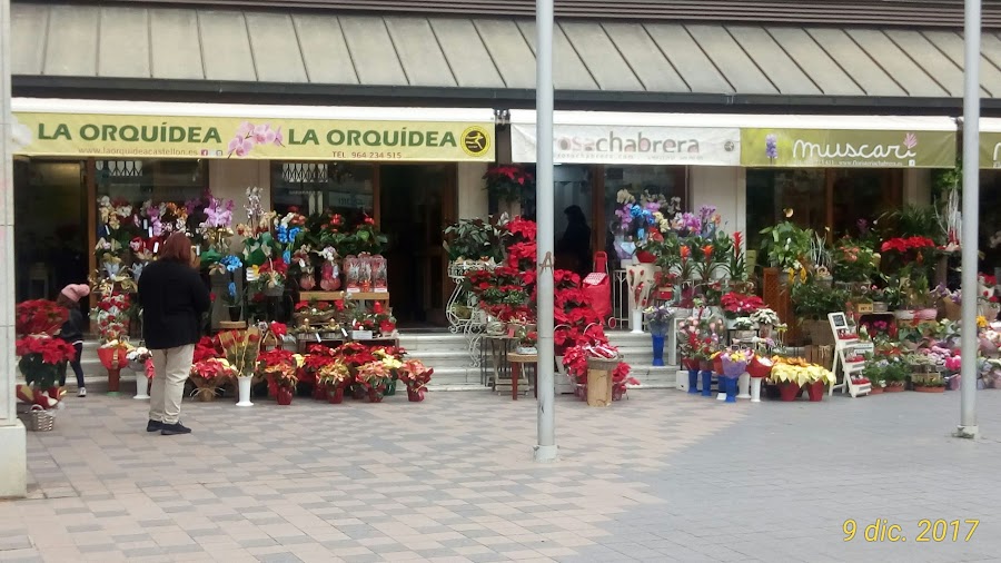 Mercado Central de Castellón