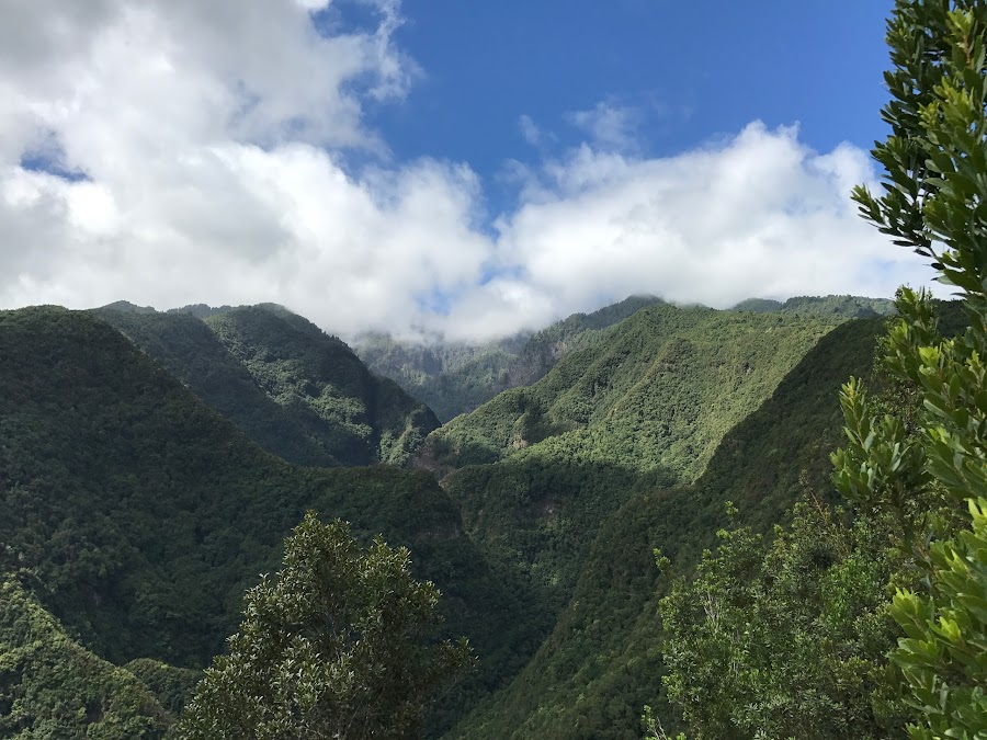 Mirador De Las Barandas