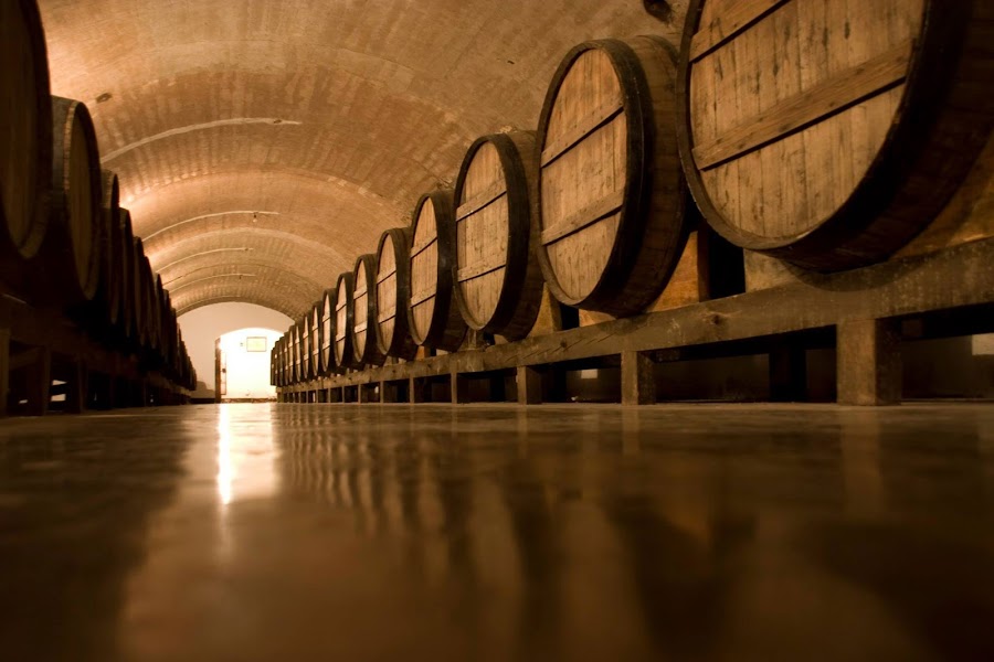 Carmelitano Bodega, Destilería y Museo