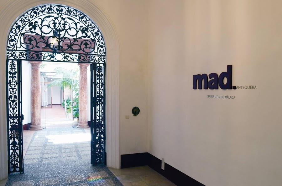 Museo De Arte De La Diputación (Mad)