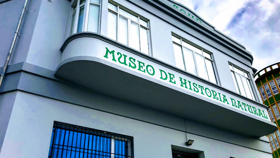 Museo De Historia Natural Da Sghn Ferrol