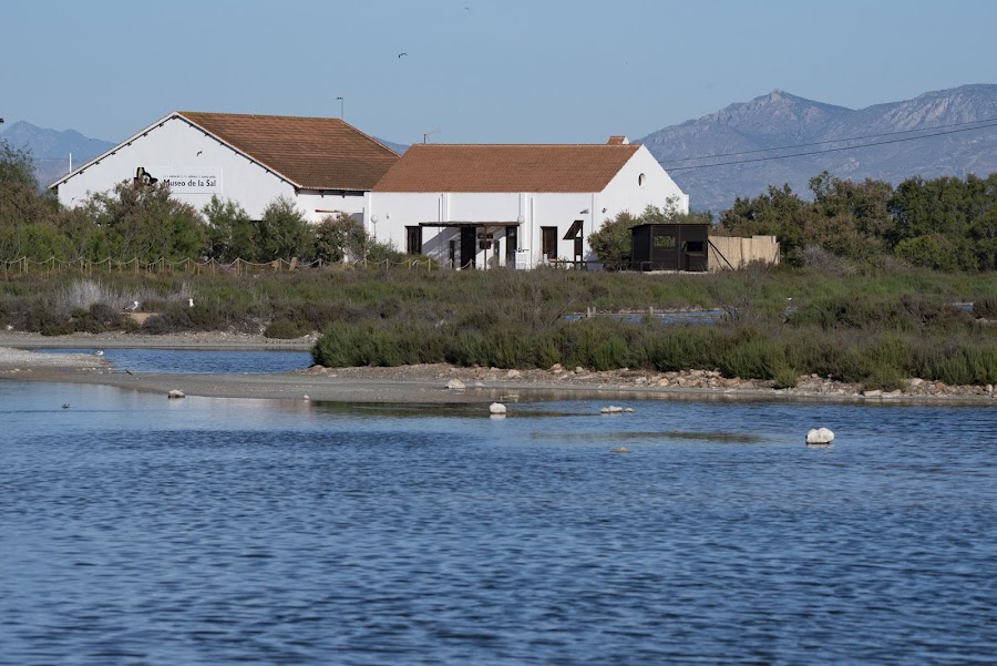 Museo De La Sal Y Centro De Interpretación Del Parque Natural Salinas De Santa Pola