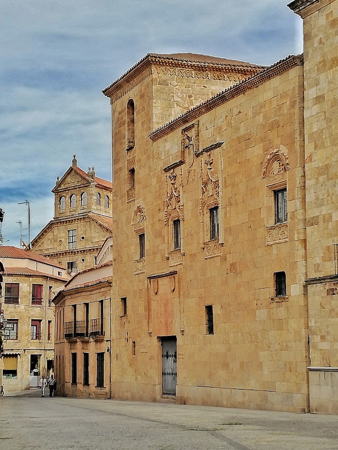 Museo De Salamanca