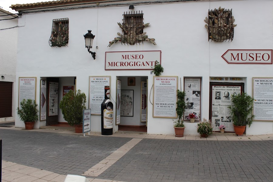 Museo Microgigante