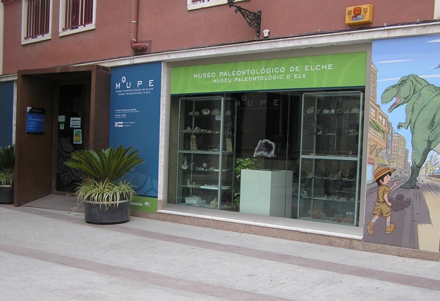 Museo Paleontológico De Elche Fundación Cidaris