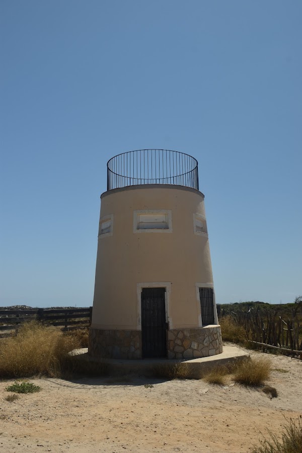 Observatorio De Aves