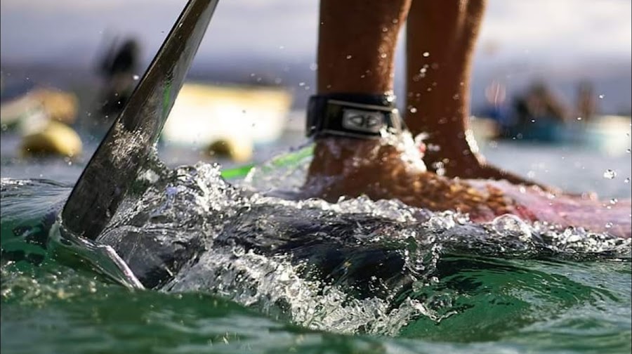 Oceanside Paddle Surf Sup Center