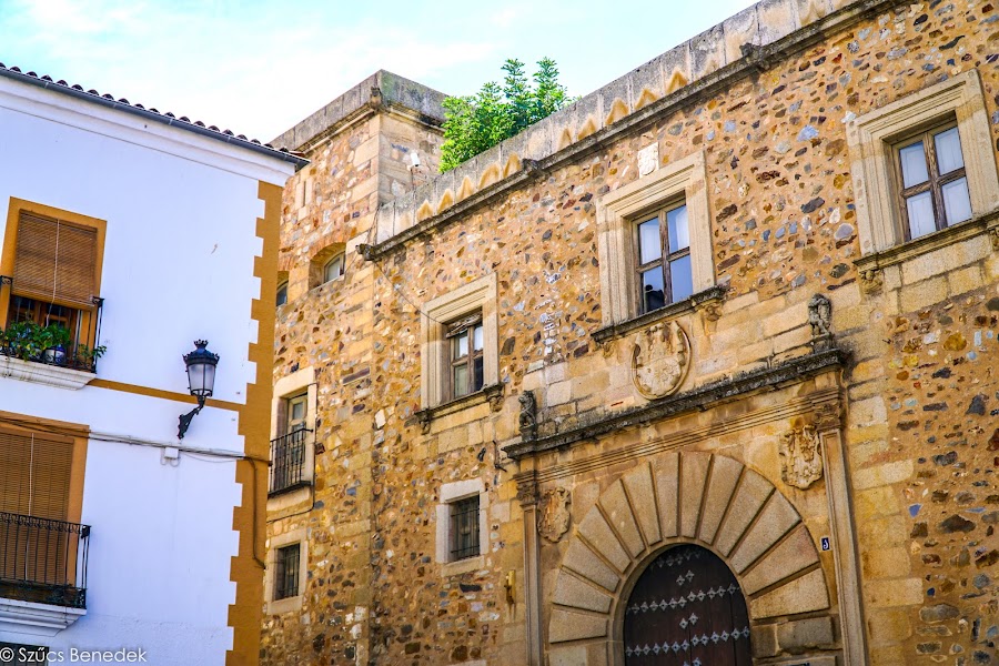 Palacio De Godoy