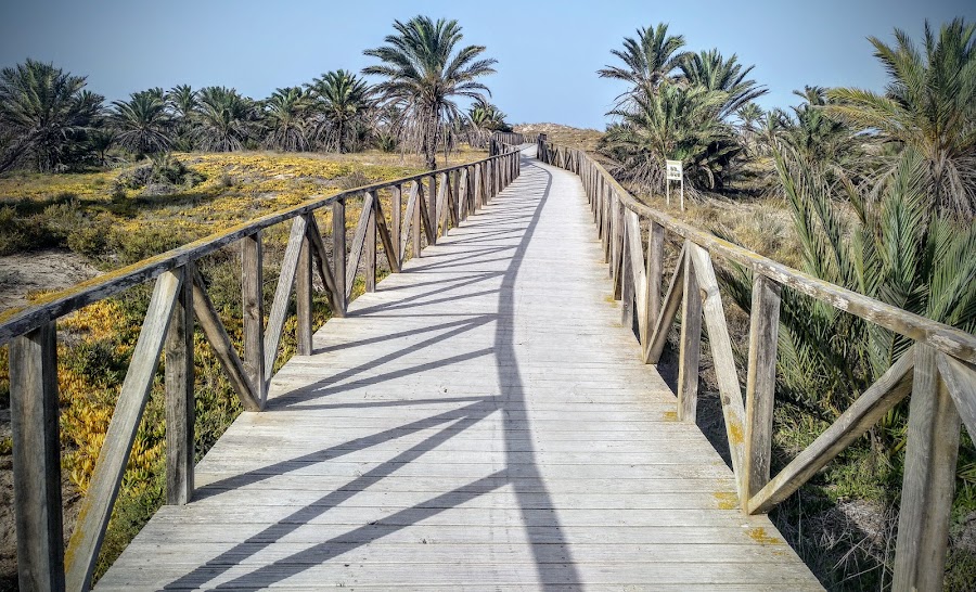 Parque Alfonso Xiii