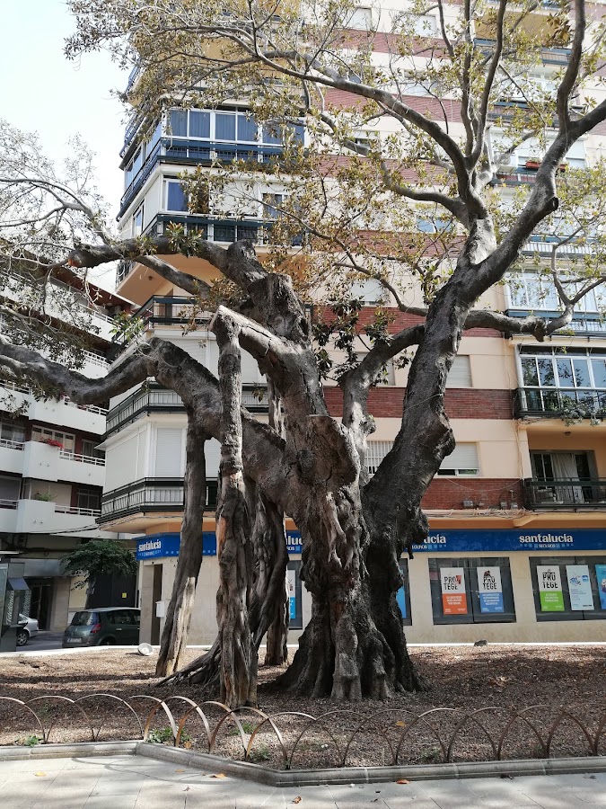 Parque Andalucía