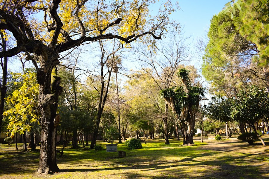 Parque De Las Acacias
