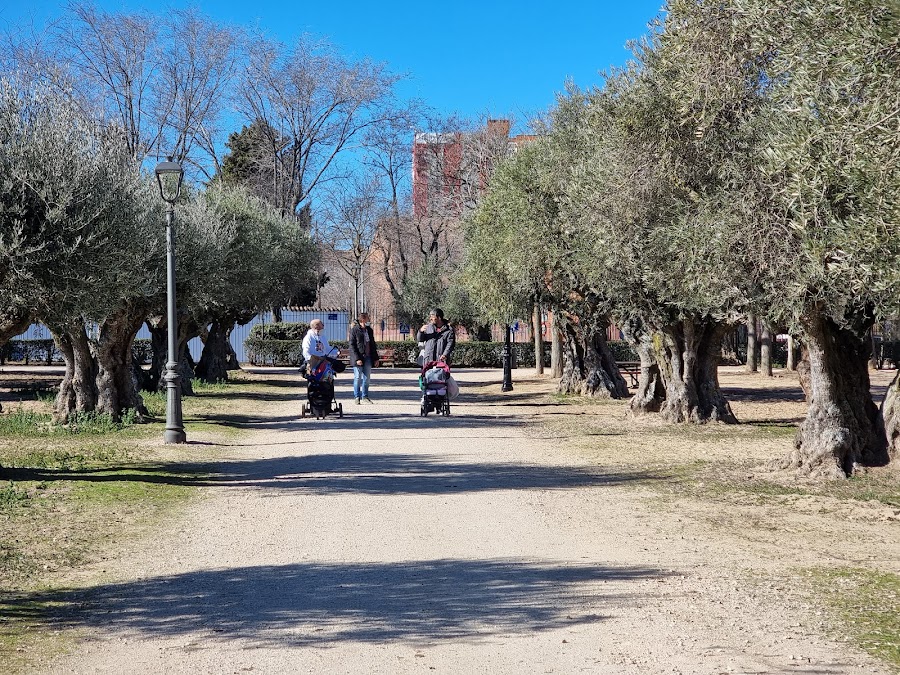 Parque Del Olivar