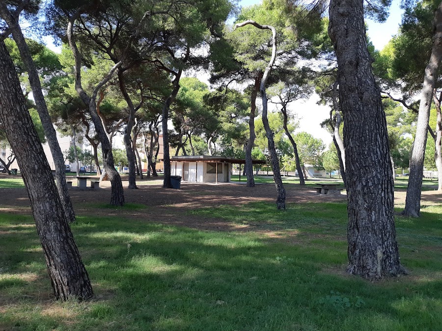 El Pinar