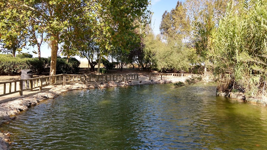 Parque Del Prado De La Casa ( Humanes De Madrid )