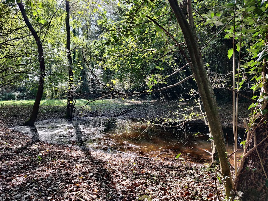 Parque Ecológico De Plaiaundi