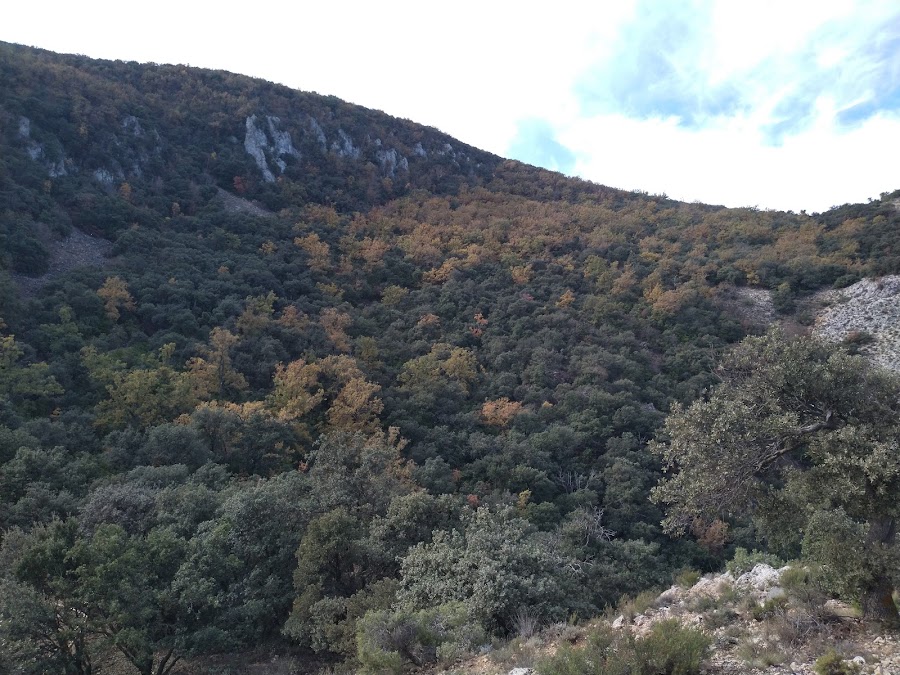 Parque Natural Del Carrascal De La Font Roja