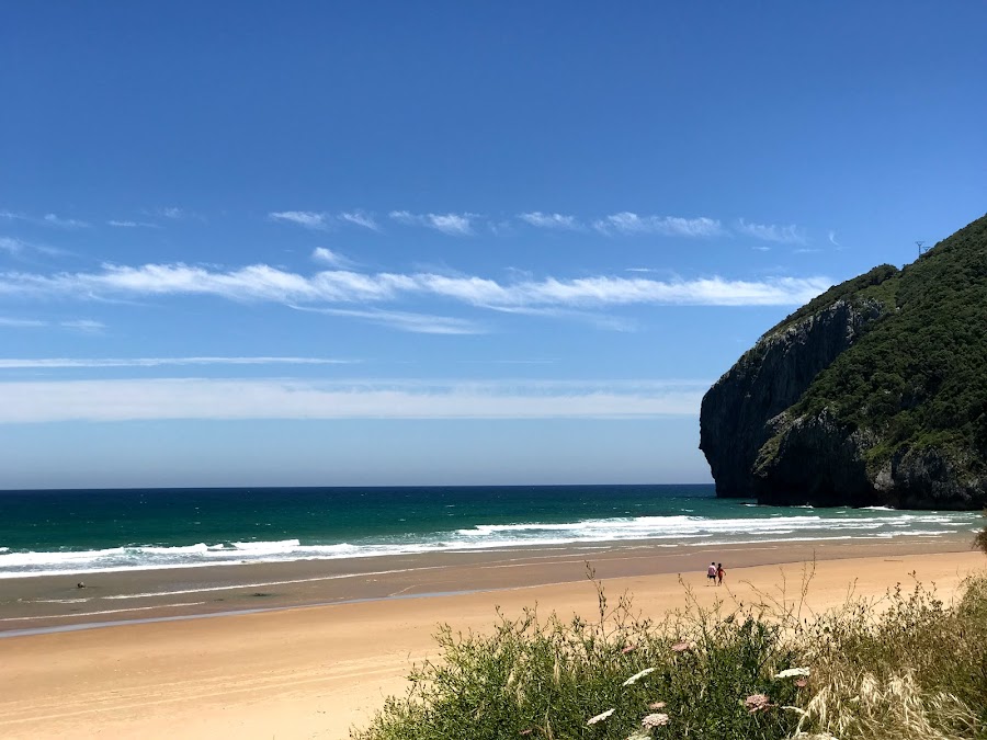 Parque Natural Marismas De Santoña