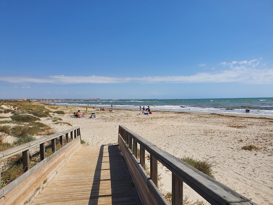 Parque Regional De Las Salinas Y Arenales De San Pedro Del Pinatar