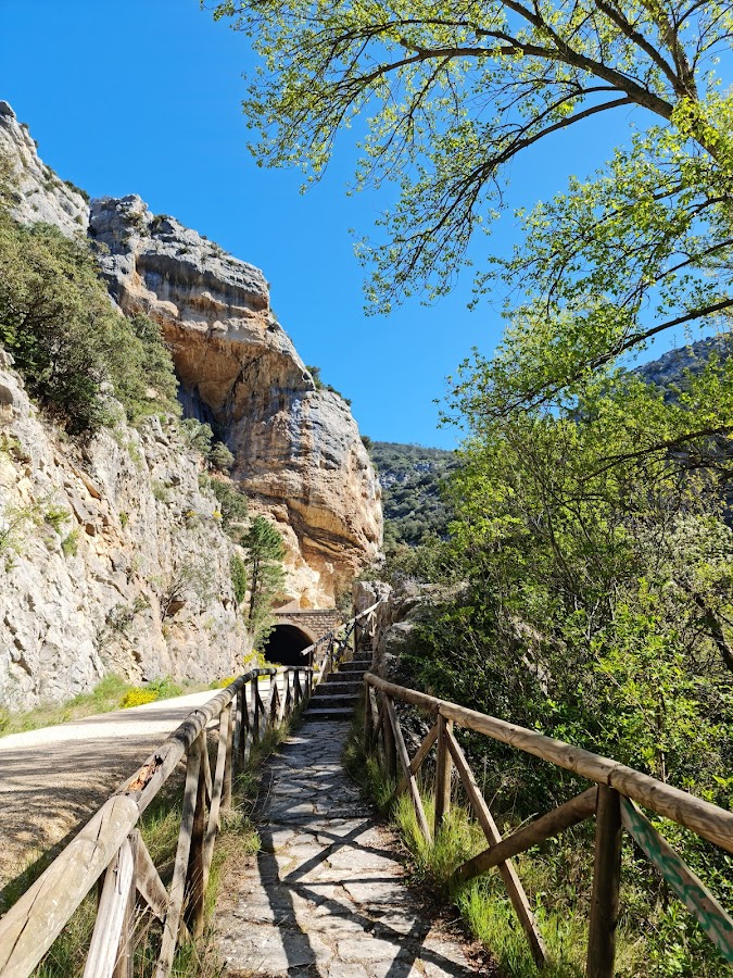 Paseo Del Rio Oca