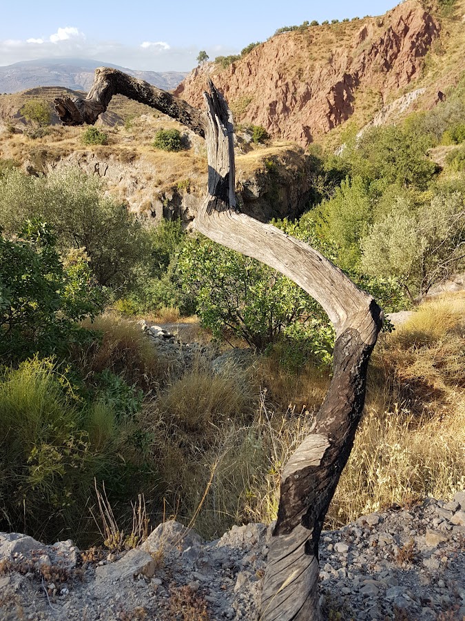 Peñon Del Fuerte