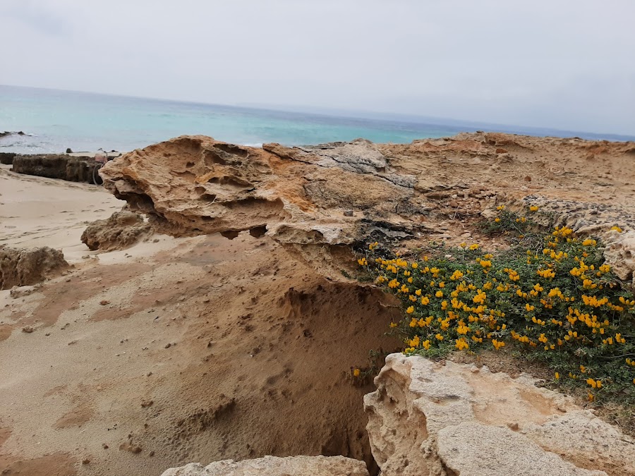 Platja De Migjorn - Zona Des Còdol