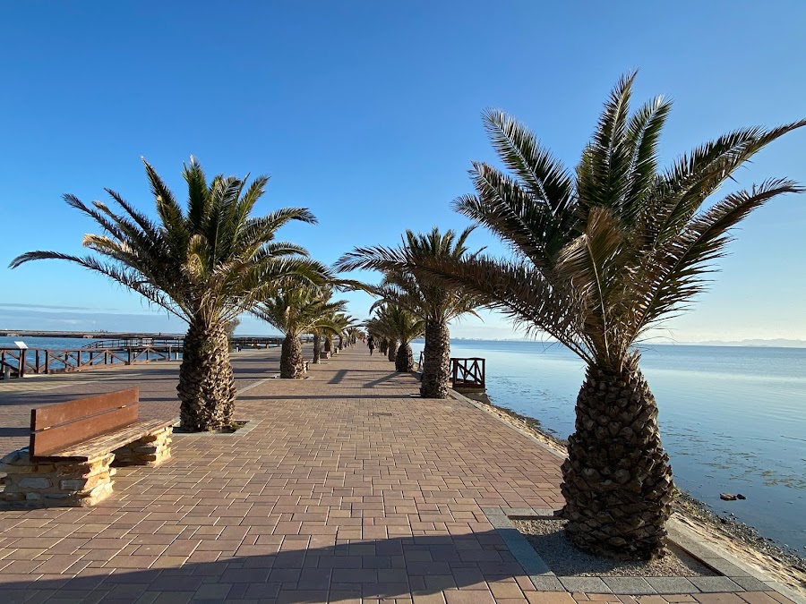 Playa De La Mota