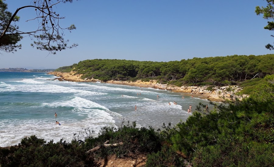 Playa De La Roca Plana