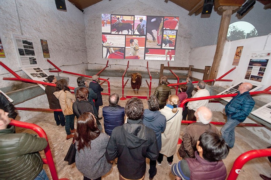 Plaza De Toros De Pamplona