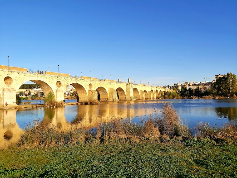 Puente De Palmas
