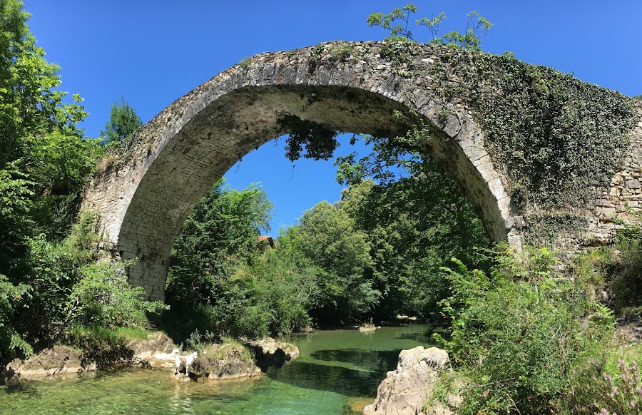 Puente Dobra/ Puente Vieyu