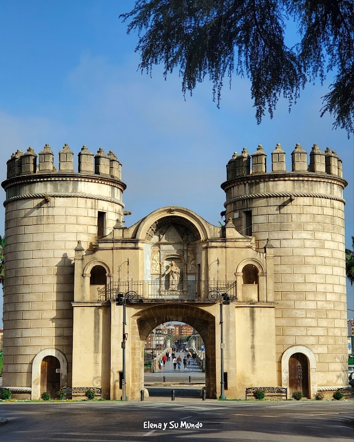 Puerta De Palmas