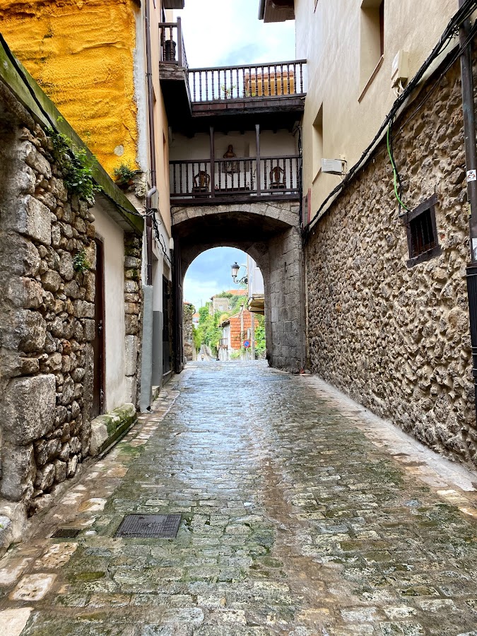 Puerta San Martín O Arco De La Blanca