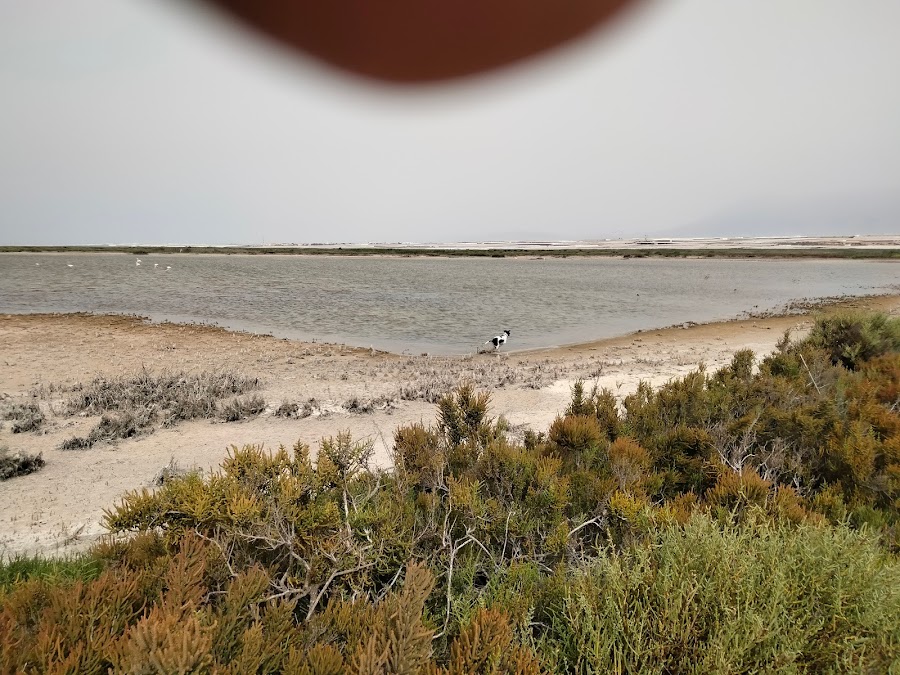 Punta Entinas-Sabinar