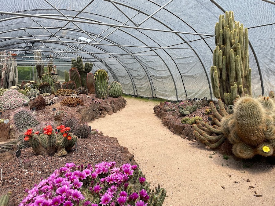 Real Jardín Botánico Juan Carlos I